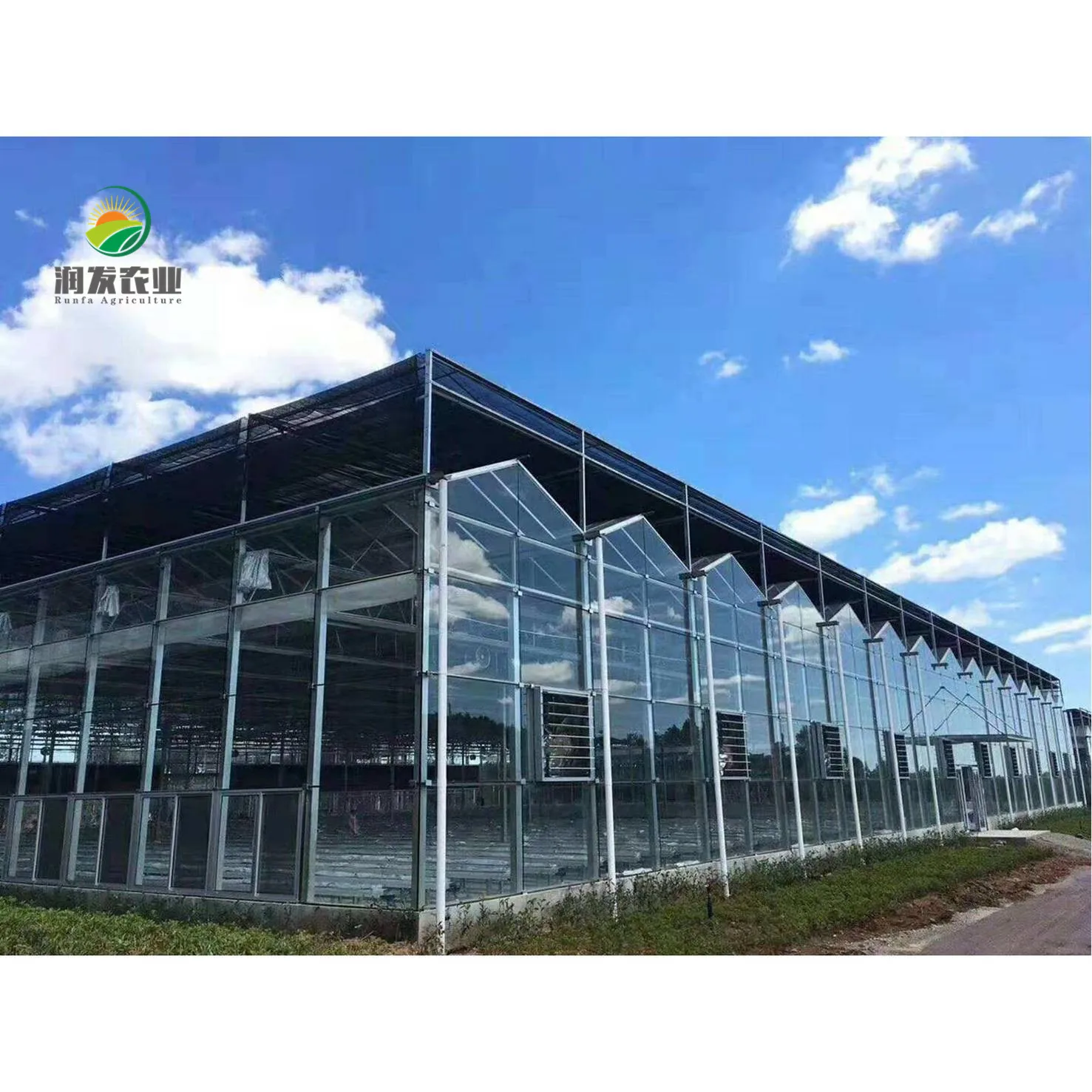 Smart PC Board Multi-Span Greenhouses With Hydroponic Growing System Equipment Greenhouse For Sale
