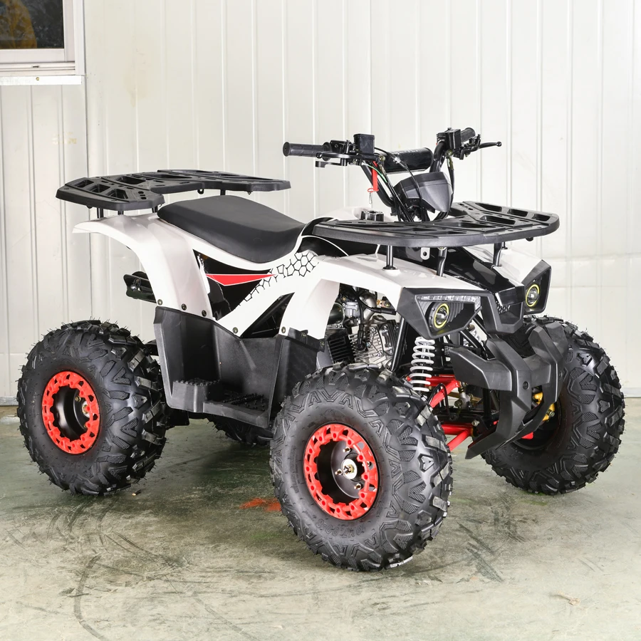 atv quad bike 4 wheeler motorcycle gasoline 110cc 125cc atv quad bike for adults