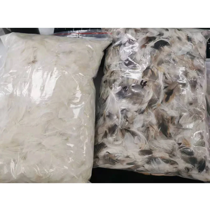 Whole sale factory pure down  Feather