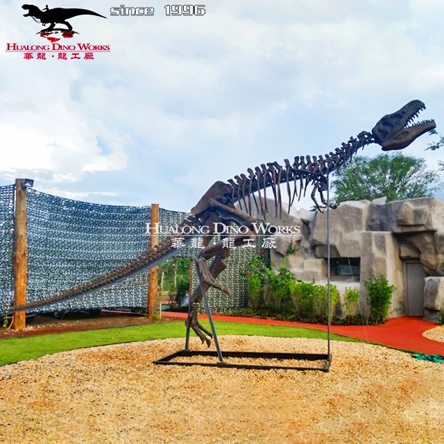 New Dinosaur Fossil Skeleton High Simulation Dinosaur Skeleton Fossil Model