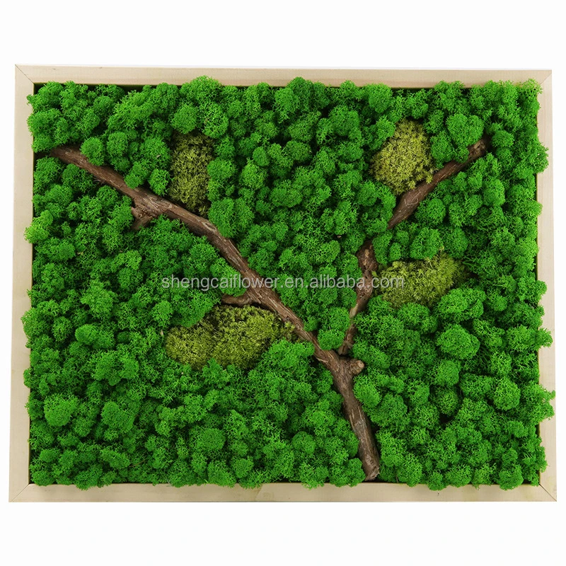 preserved moss real natural   Free Environmental Style Stabilized Reindeer 30x30cm Wall Long Lasting moss forever plants panel