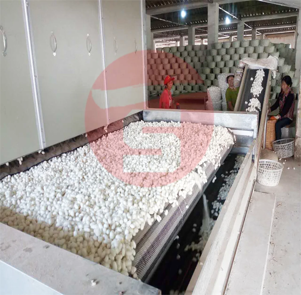 Hot Sale Silkworm Cocoon Dryer Machine Mesh Belt Drying Equipment Hot Product Energy Saving Customized