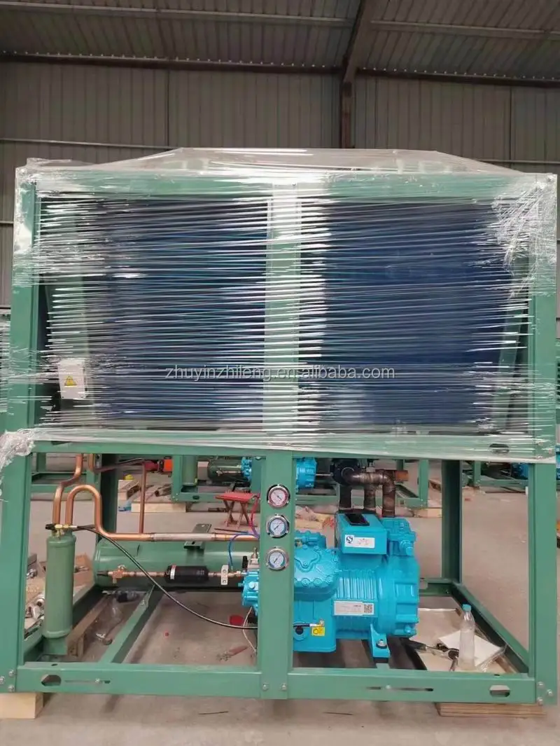 Customization walk in cooler condensing unit and evaporator