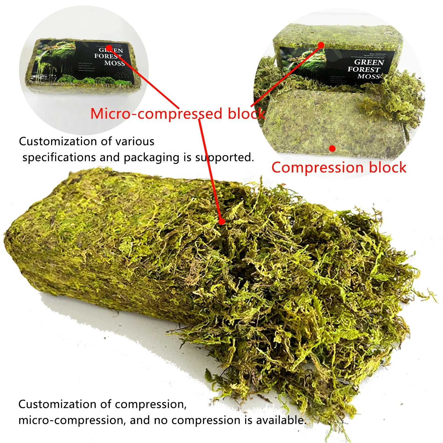 Wholesale Eco-Friendly Premium Natural Dried Green Sphagnum Moss Long Fiber Green Forest Moss For Reptile Plants