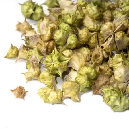 China Supplier Wholesale Testosterona Powder Biji Tribulus Terrestris