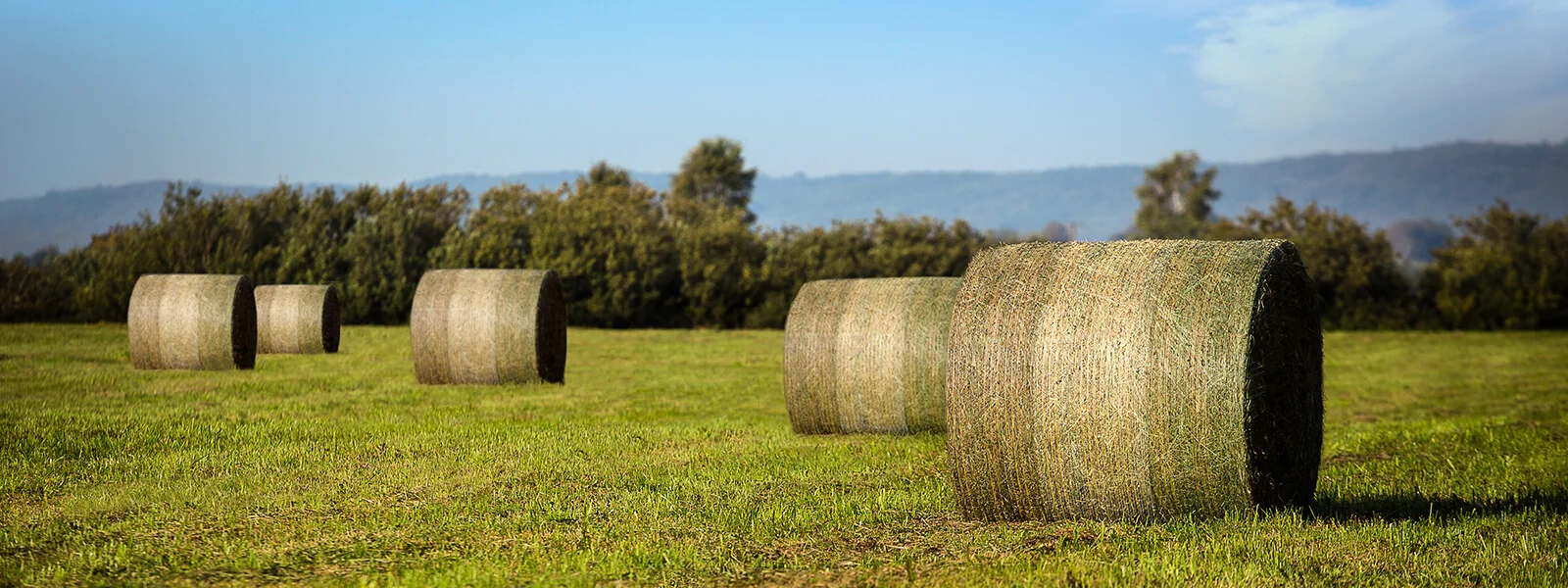 Hot Sell 100% HDPE Agriculture Mesh Straw Silage Hay Bale Net Wrap Bale Warp Net