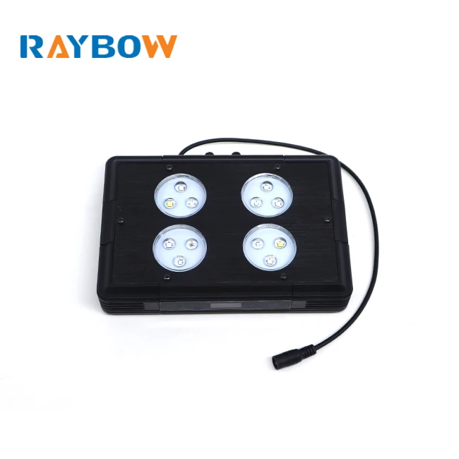 Raybow 52W LED Reef Light Marine Coral SPS LPS WiFi Control Sunrise Sunset Full Spectrum aquarium lights