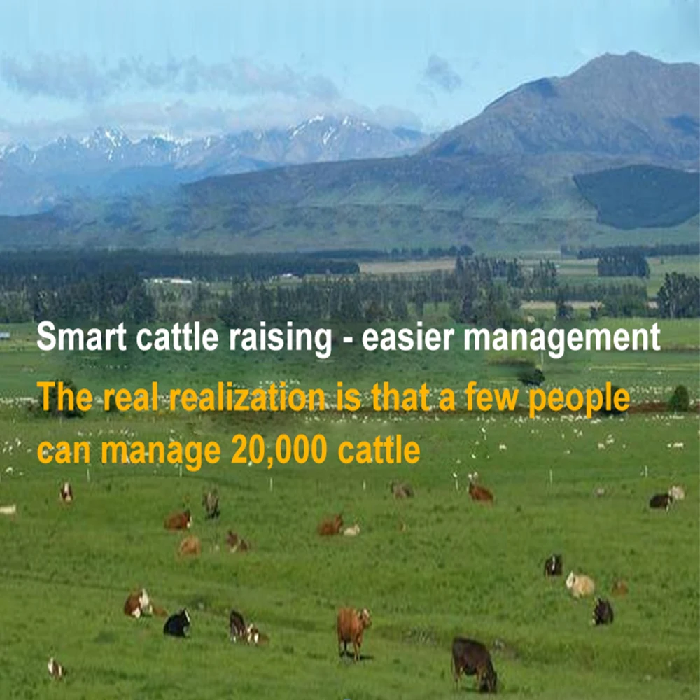 lorawan lora gps tracker Sheep Animal Husbandry Intelligent Breeding Network Transmission Location lorawan gps cattle tracker