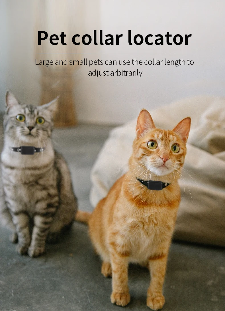 Pet anti loss collar GPS real-time positioning animal activity footprint tracking cat and dog anti loss GPS pet collar