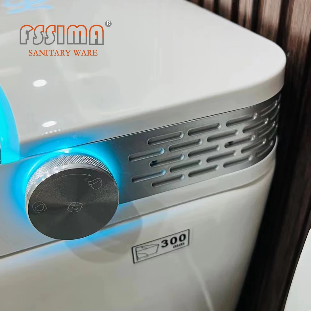 CE Europe ZN-3026 best electric intelligent automatic smart toilet Bathroom white one piece bidet toilet with remote control