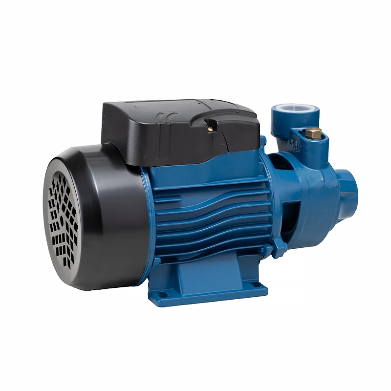 Hot Selling High Quality Low Pressure Water Pump Qb70 Electrique Pompe A Eau