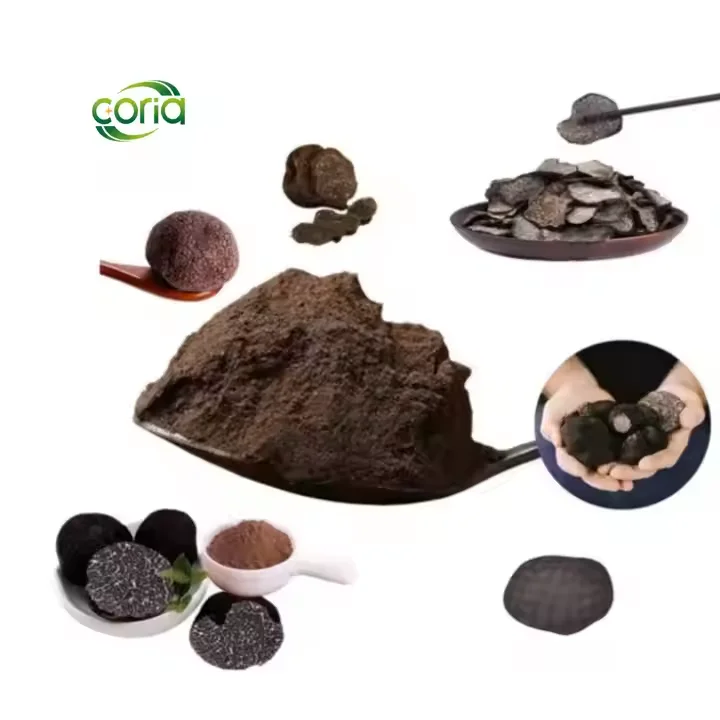 Natural High Quality 100% Natural Black Truffle Powder Black Truffle Extract