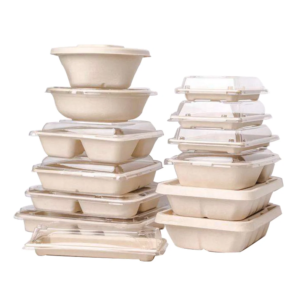 Biodegradable Sugarcane Bagasse Bento Box Disposable Pulp Products Food Packaging Container