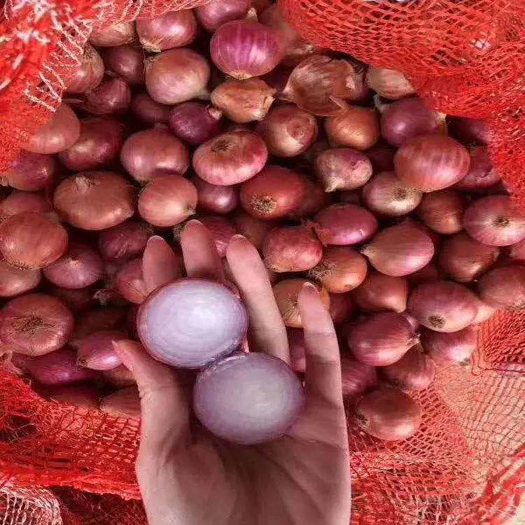Export Fruits And Vegetables High Quality Healthy Premium Quality Red Onion Exporters In China