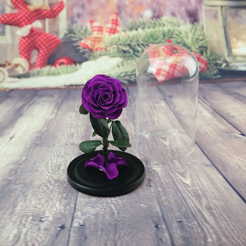 rose preserved glass dome in gift box  hot sale eternal real stabilized flower with stem for christmas