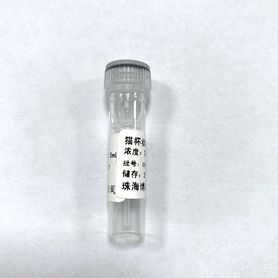 Моноклональное антитело Biocare Feline caliciвирус