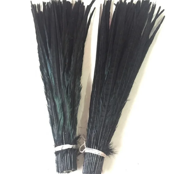 Bleached and Dyed 50-55cm Ringneck Pheasant Tail Feather