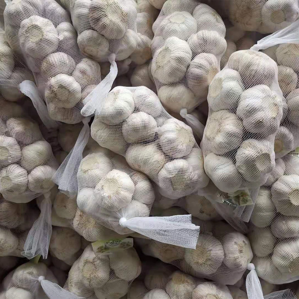 Low Price China Garlic Planter Sale Garlic for Wholesale