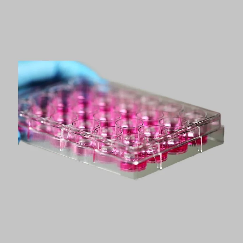 lab plastic containers 6 well V Bottom cell culture plate