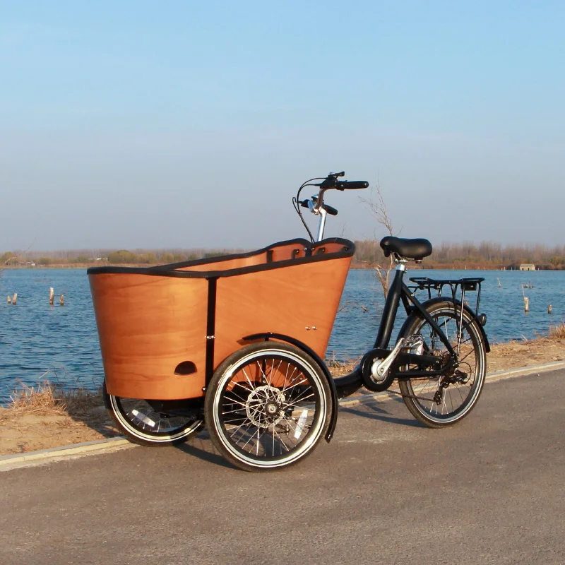 Three wheel  cargo bicycle dapu 250w/500w motor scooter cargobike for sale