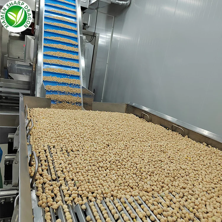Organic Frozen Fresh Chickpeas Chick Peas Garbanzo beans with Freezing Freeze IQF Bulk Wholesale price