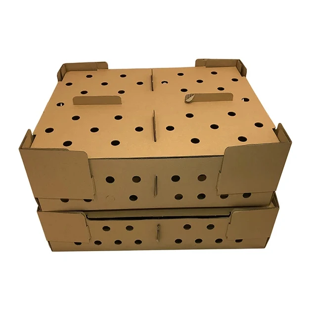 Eco-Friendly Recycle Double Wall Corrugated Cardboard Live Baby day old Chicken Transport Cartoons Boxes For Chicks
