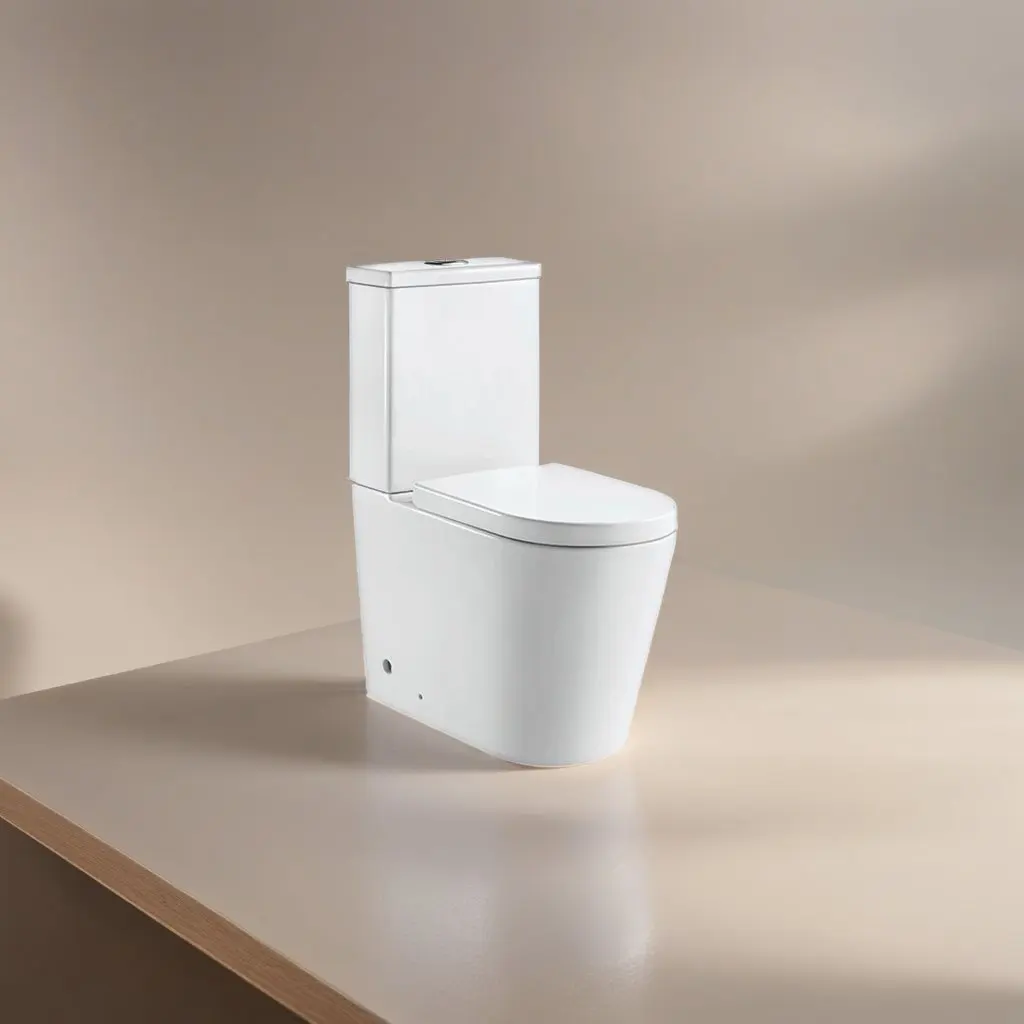 Back To Wall Good Quality Factory Directly Dual Flush Toilet Western Ceramic Toilets For Home