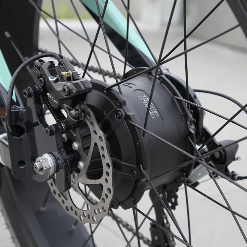 Customized 750w1000w fat tire customized dual battery electric bike electric mountain bike full suspension 52v e bikes