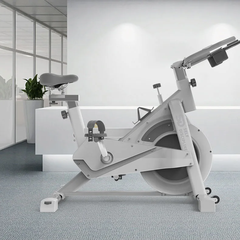 Indoor Fitness Equipment Exercise Professional Silent Heavy Duty Smart Spinning Bike