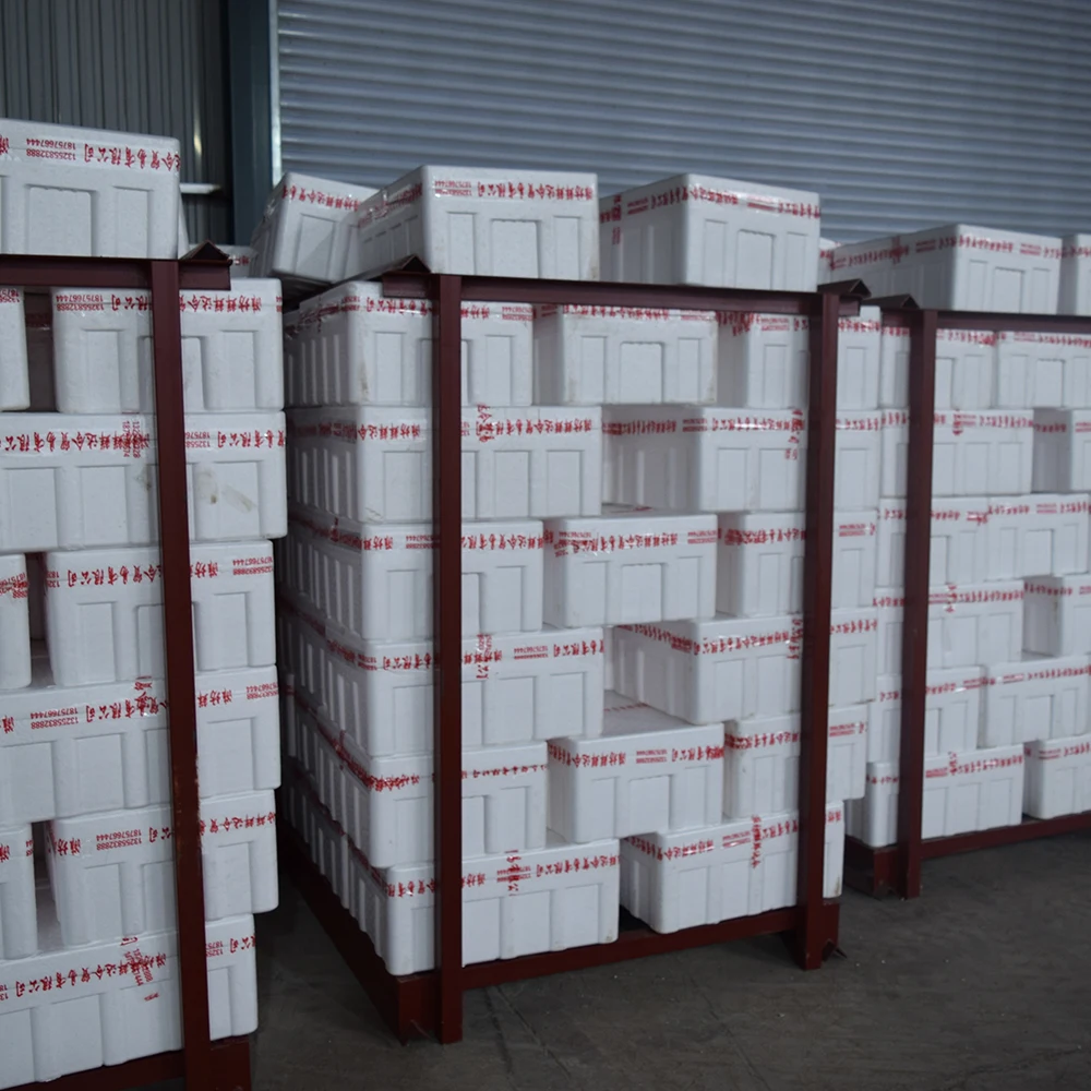 
2021 Pure Natural Vegetable Long Green Onion Health Food 