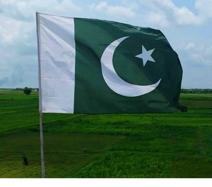 Good Quality Cheap Any Size Polyester Country National Pakistan Flag