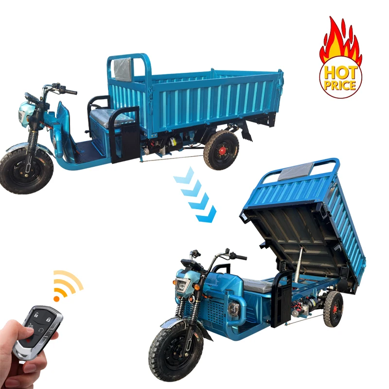 China electric cargo tricycle 1000 kg open body type electric tricycle for passenger seat and cargo