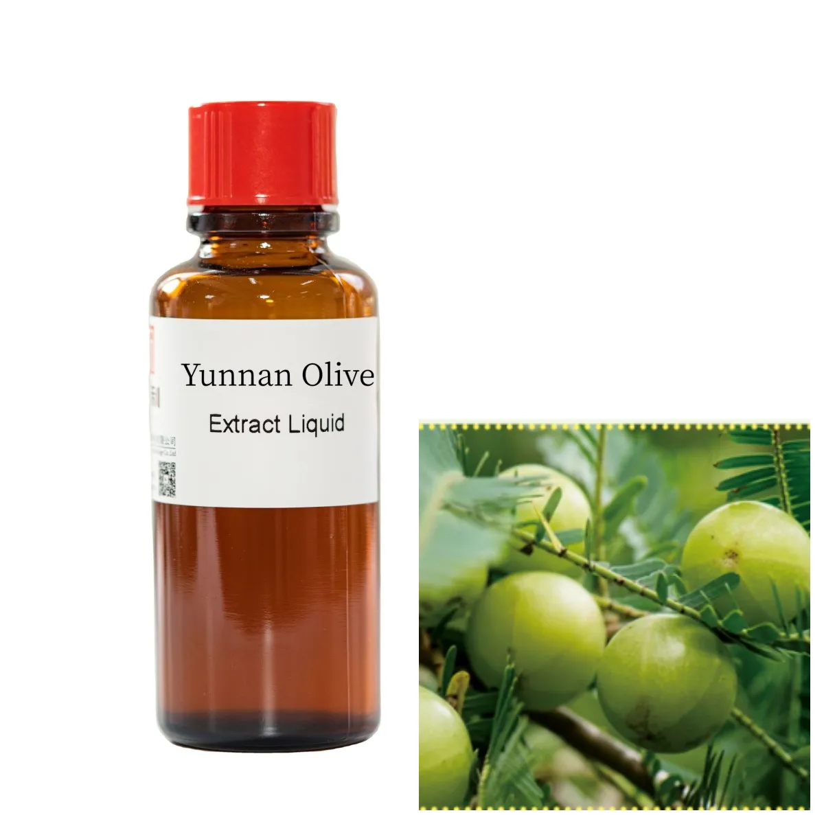 Заводская поставка, жидкий концентрат оливок Yunnan