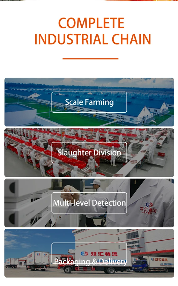 Chinese famous brand hot selling 340g canned lunch pork open to eat fried SHUANGHUI ready to eat food meat canned