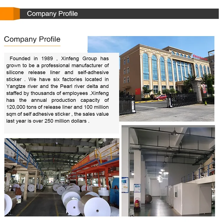 company certificate.jpg