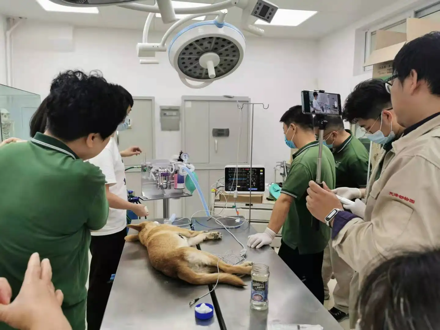 Safety Pop-Off Occlusion Valve Adopted Medical Veterinary Anesthesia Machine