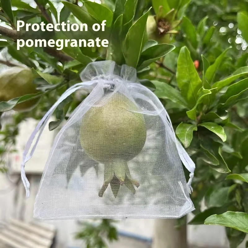 Agriculture Fruit Net Protection Bag New HDPE Anti-Insect Mesh for Grape Industrial Use
