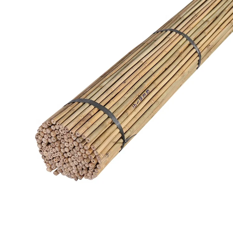 Бамбуковые трости для защиты от деревьев диаметром 16/18 мм x 210 см
