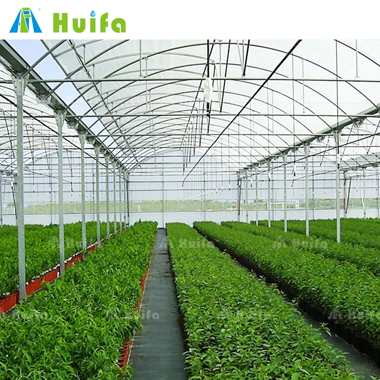 Agricultural Equipment Multi-span Tomato High Tunnel Green House Plastic Film Low Cost Greenhouse