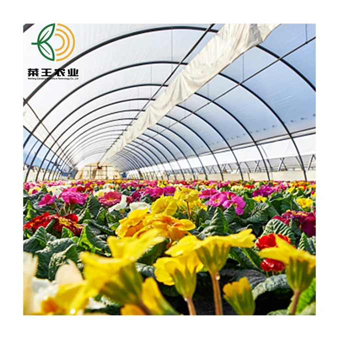 Single span film greenhouse Single-span tunnel garden green house for sale
