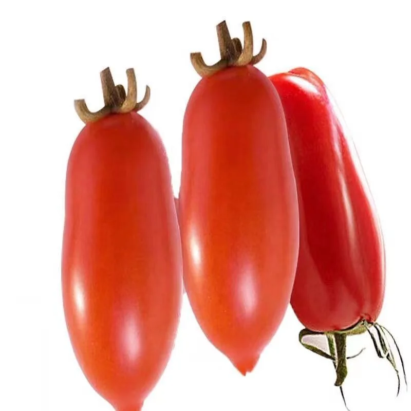 
Semi-determinate Hybrid F1 sweet Banana Cherry Tomato Seed Vegetable Seed 