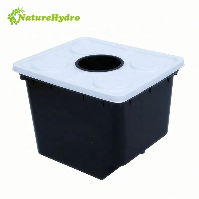 High Quality Dutch Bato Bucket Wholesale Hot Selling Hydroponic for Tomato Greenhouse