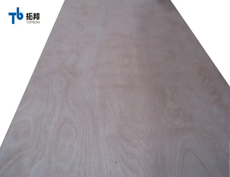 Topbon indoor usaged 18mm okoume plywood board good price from china