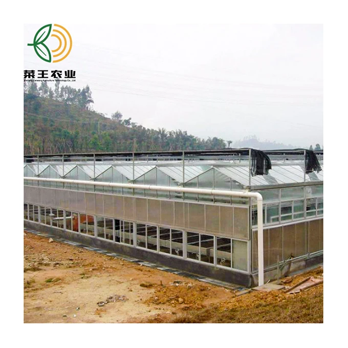 China Factory Price Plastic Sheet Green House for Vegetables Fruits