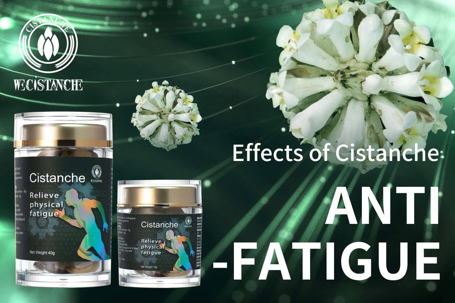 Advanced Physical enhancer cistanche extract 75% Phenylethanoid glycoside 30%  Echinacoside energy booster supplement