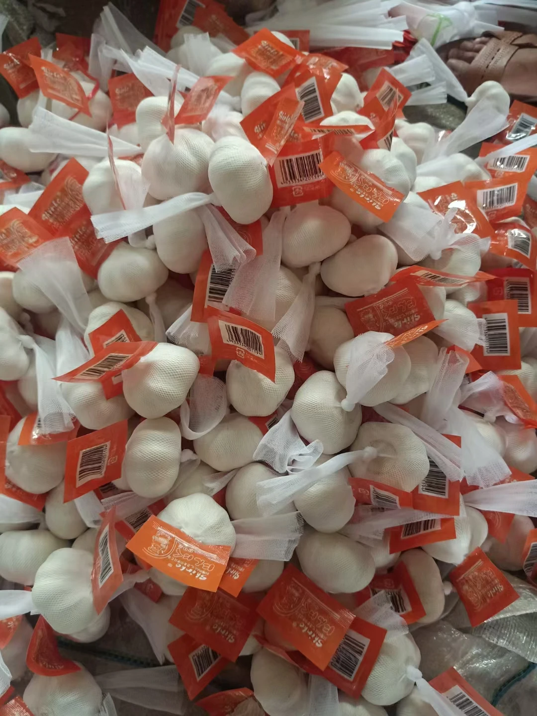 Organically grown fresh garlic Premium seasoned garlic for export to China