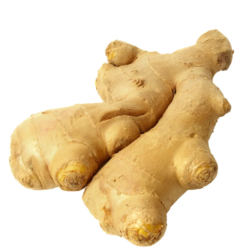 Wholesales New Fresh Ginger 40-600 cm in length Competitive Price Vietnamese Manufacturer Quality Small MOQ Samples Available