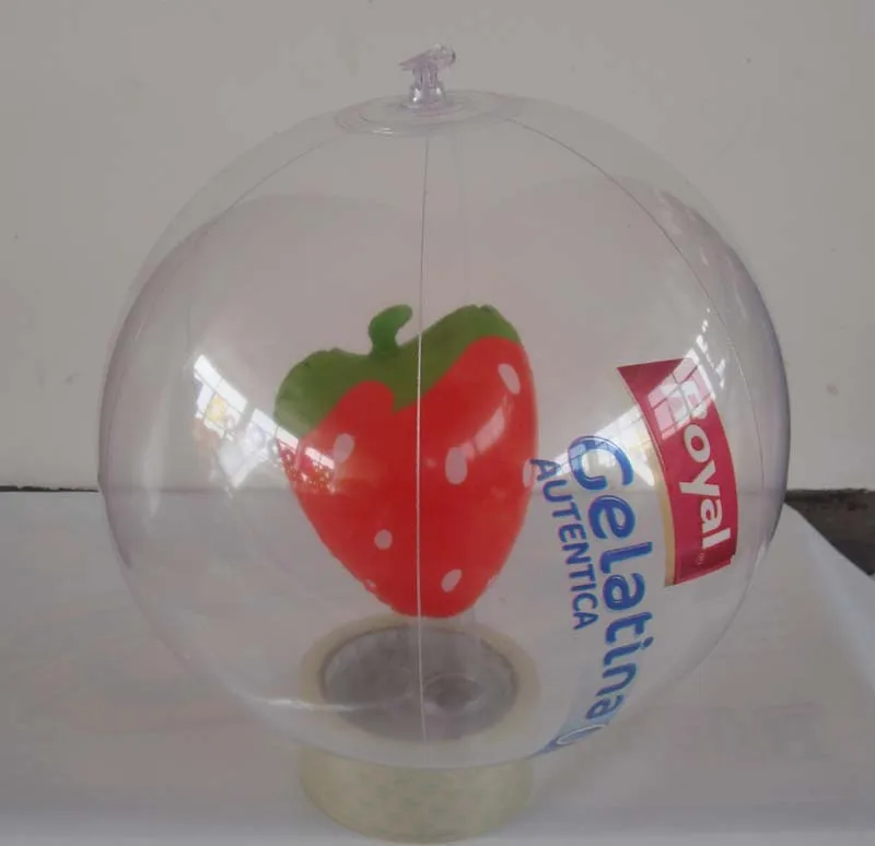 beach ball with animal inside