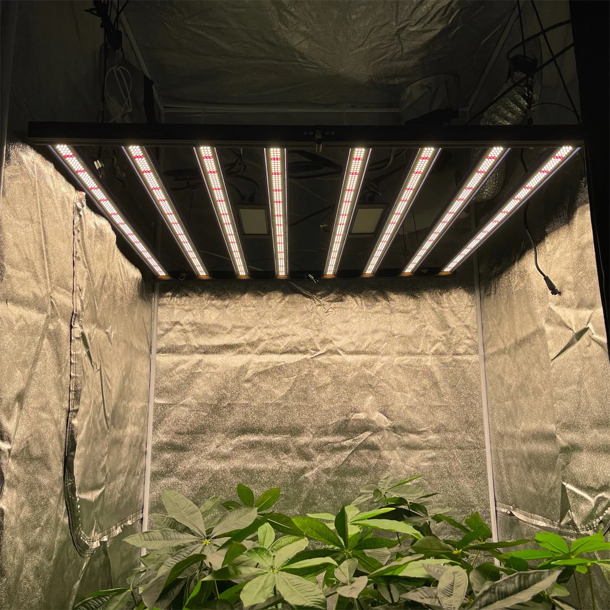 Meijiu 1988 Most Powerful foldable LED Grow Light High brightness Commercial 650W LED Grow Light For Greenhouse