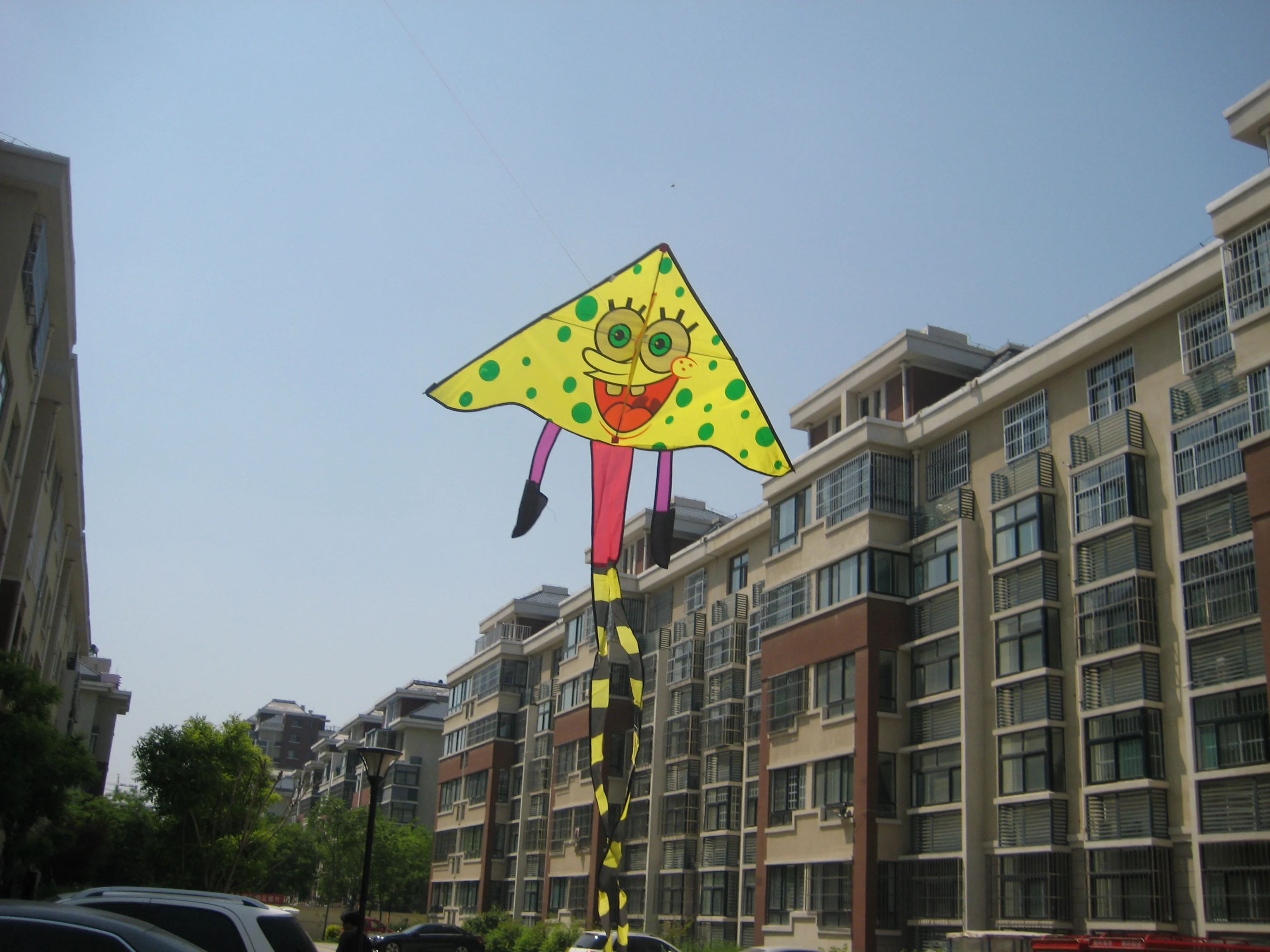 High Quality Cartoon Kite Customized Color For Fun